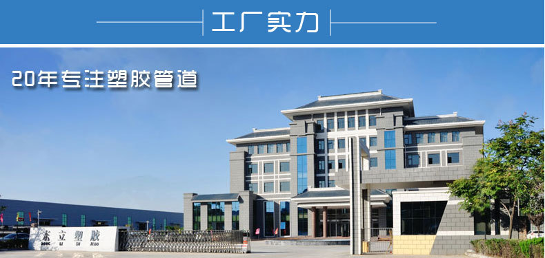 宸ュ巶瀹炲姏_01